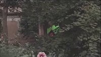 沁源秧歌_09版《拔葱》- 戏曲下载 - 精彩剧情不容错过 沁源秧歌_09版《拔葱》- 戏曲下载 - 精彩剧情不容错过
