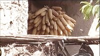 沁源秧歌《碾糕面》在线观看 - 最新完整版下载 - 戏曲资源分享平台