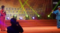 《打酸枣》戏曲下载 - 精彩剧情与独特剧种解析