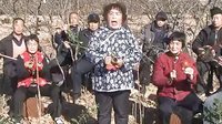 山西永济黄河道情 10两对比 - 戏曲下载 山西永济黄河道情 10两对比 - 戏曲下载