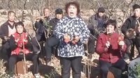 山西永济黄河道情 10两对比 戏曲下载,高清音质,精彩剧情解析 山西永济黄河道情 10两对比 戏曲下载,高清音质,精彩剧情解析