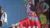 琦凤公主