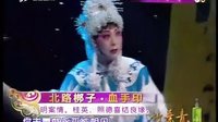 晋剧 山西卫视《走进大戏台》20130526杏花朵朵开（史叶青-金水桥）（宋丽-北路梆子-血下载
