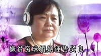 mc海鸥翻唱李万林北路梆子;血手印唱段下载