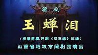 蒲剧《玉蝉泪》全本 - 山西运城市蒲剧团主演武俊英、王艺华精彩演绎下载