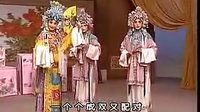 晋剧《打金枝上》- 谢涛主演高清戏曲下载 - 标清版