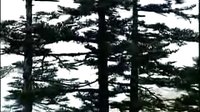 河南戏曲唢呐济公传下载,经典豫剧剧目,济公传奇故事,免费在线观看 河南戏曲唢呐济公传下载,经典豫剧剧目,济公传奇故事,免费在线观看