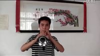 陈德坤唢呐独奏表演 - 清华艺术学校学生精彩演绎 陈德坤唢呐独奏表演 - 清华艺术学校学生精彩演绎