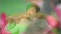 河南戏曲[唢呐]大联奏 - 精彩绝伦的民间音乐盛宴
