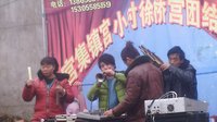 河南唢呐太和县坟台镇陶小寨演出信息，剧种、演员等详情