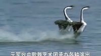 唢呐喜洋洋