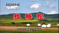 拉骆驼