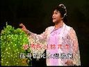 沪剧《龙凤花烛》- 经典剧目，逢春、李芝芬主演，精彩剧情不容错过！下载