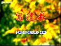 沪剧《小巷之花》全集在线观看 - 王盘声、石汉英主演，感受老上海风情与深情演绎下载