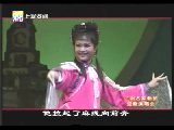 沪剧名家新苗迎新演唱会 - 经典与创新的完美融合