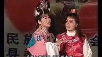 广西百色田林壮剧《红丝错》上集 - 精彩剧情不容错过！下载