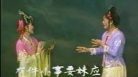 广西戏曲 壮剧 金花银花 演员介绍、剧情简介及下载资源下载