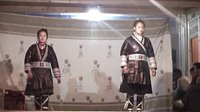 甫金平