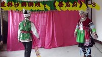蔡龙府