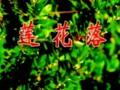 代县八音会莲花落-俊明演出团下载,戏曲全本高清在线观看 代县八音会莲花落-俊明演出团下载,戏曲全本高清在线观看