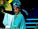 梨园春 精彩戏曲盛宴，领略传统艺术魅力