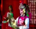 2004年梨园春戏曲晚会 - 经典戏曲荟萃，名家齐聚一堂