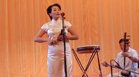 韩梅京韵大鼓《桃花庄》- 精彩剧情,感受乡村风情 韩梅京韵大鼓《桃花庄》- 精彩剧情,感受乡村风情
