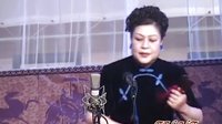 京韵大鼓《张秋萍》，赵云、张秋萍主演，精彩剧情不容错过！下载