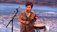 探晴雯 京韵大鼓 陆依琴 经典曲目 情感真挚 探晴雯 京韵大鼓 陆依琴 经典曲目 情感真挚
