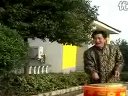 大鼓三接新娘