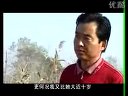 妹妹找哥泪花流