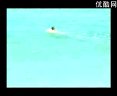 唢呐独奏黄土情 - 激昂唢呐演绎黄土风情，尽显民间艺术魅力