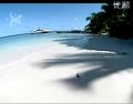 唢呐独奏六子开门 - 经典传统唢呐曲目，展现民间生活欢乐场景