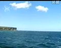 唢呐独奏怀乡曲 - 经典民族音乐，表达思乡之情