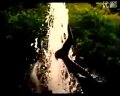唢呐独奏全家福 - 经典曲目欣赏