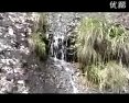 于都唢呐 - 精彩绝伦的地方戏曲盛宴