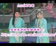 琴书新媳妇回门 豫剧经典剧目 肖召军主演 戏曲下载 全本高清视频下载