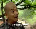 琴书长寿村-关学曾 传统艺术的坚守与传承下载