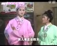 琴书孝顺媳妇