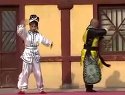呼家小将 双龙走国-第七本 - 戏曲下载