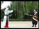 琴书四萍传