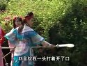 琴书金枪大北宋 太子放粮-刘汉飞 张银侠 王道蓝-戏曲下载-高清MP4在线观看