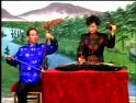 琴书白马告状