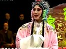 琴书刘墉私访全集 - 高清完整版在线观看及下载
