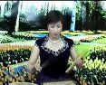 温州鼓词《五虎平西》 经典戏曲下载，领略五虎将的英勇传奇下载