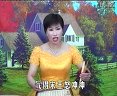五虎平南