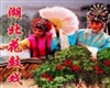 湖北皮影戏《龙凤决》- 经典剧目下载 | 高清MP4格式 | 传统戏曲资源