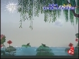 皮影戏鹤与龟