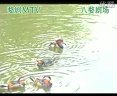 婺剧《想当年清明节西湖游春-伴奏》全集下载 - 高清音质，完整版，免费观看