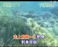 婺剧《忽听得老娘亲来到帐外-伴奏》全集下载,经典婺剧剧目,精彩不容错过! 婺剧《忽听得老娘亲来到帐外-伴奏》全集下载,经典婺剧剧目,精彩不容错过!